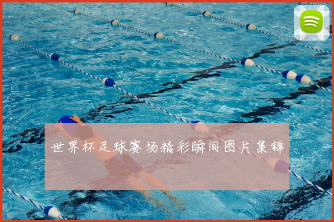 世界杯足球赛场精彩瞬间图片集锦