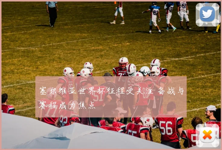 塞尔维亚世界杯征程受关注 备战与赛程成为焦点