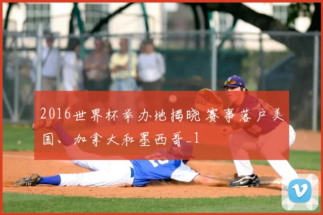 2016世界杯举办地揭晓 赛事落户美国、加拿大和墨西哥_1
