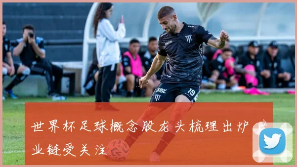世界杯足球概念股龙头梳理出炉 产业链受关注