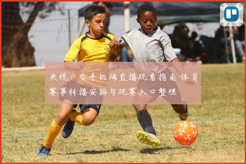 央视六台手机端直播观看指南 体育赛事转播安排与观赛入口整理