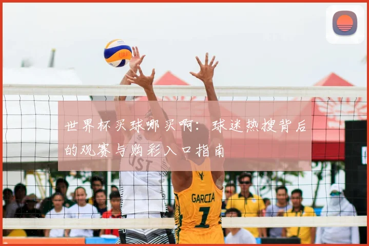 北京卫视直播平台官网聚焦体育赛事转播安排与重点比赛看点